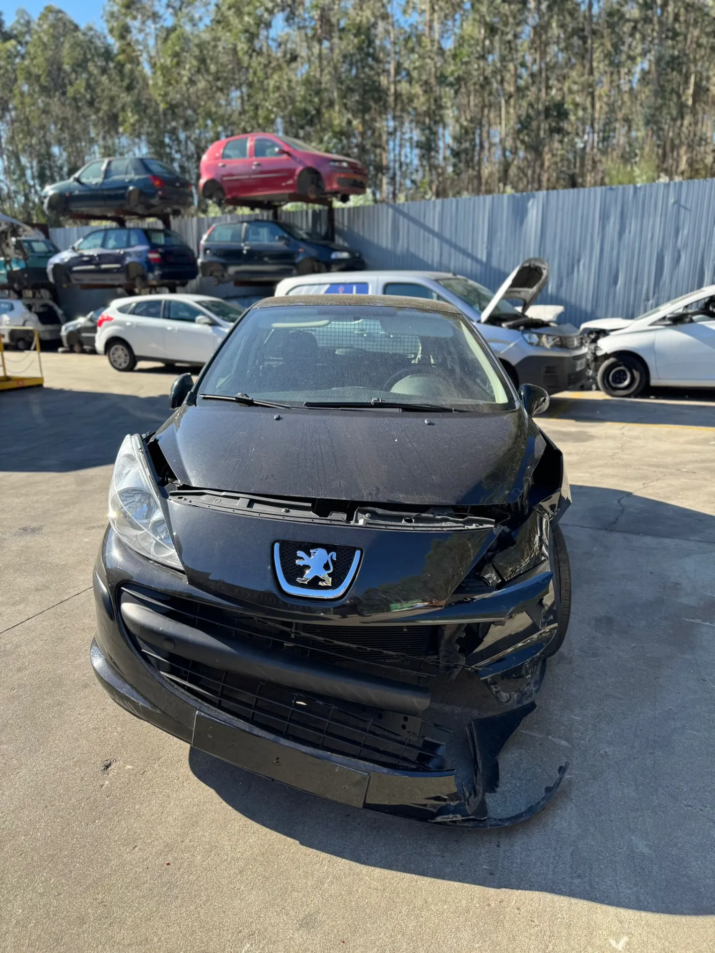 207 Van PEUGEOT 207 Van